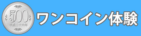 ワンコイン